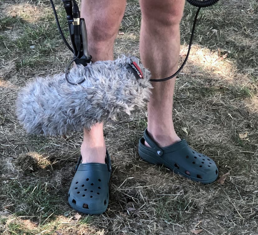 Standing in a Field